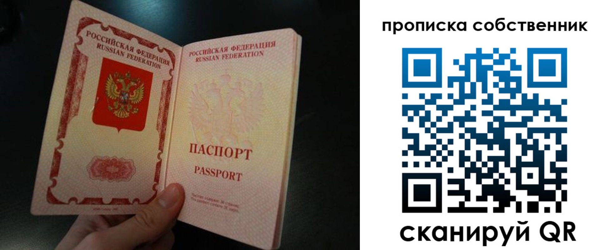 регистрация в Ярославской области